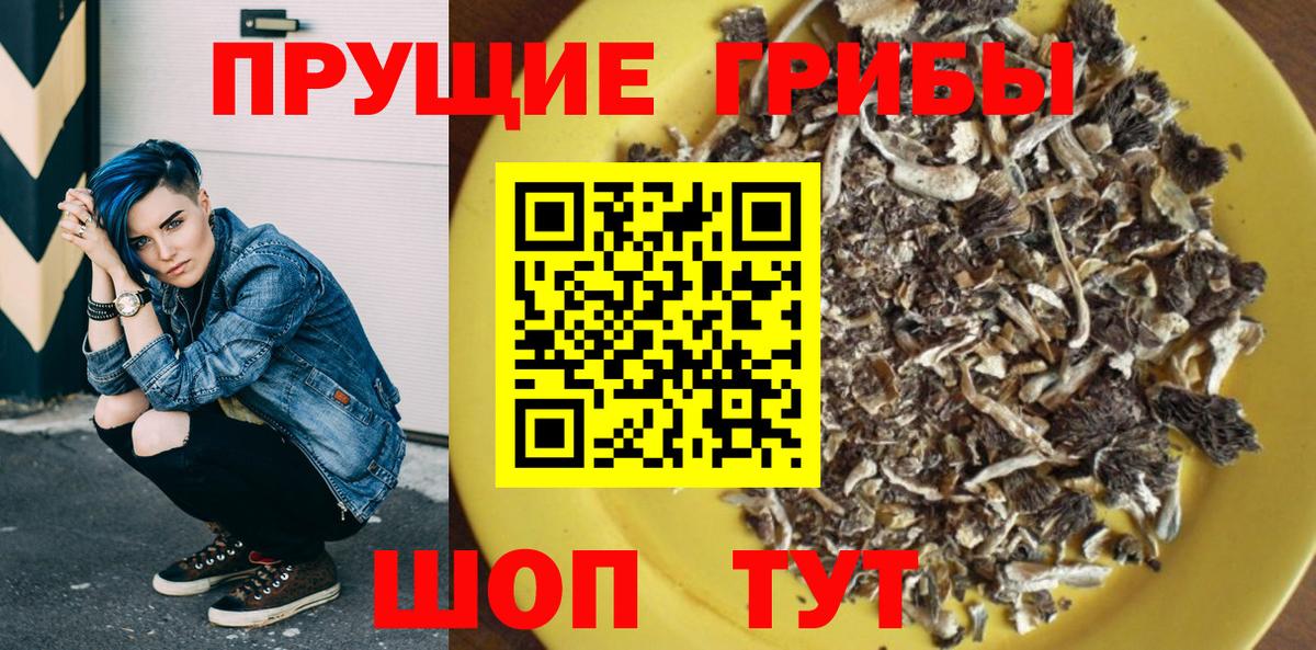 Карпинск  Галлюциногенные грибы Psilocybe  Галлюциногенные грибы Psilocybe  Вход с VPN 
